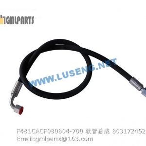 ,803172452 F481CACF080804-700 HOSE