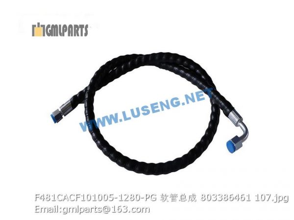 ,803386461 F481CACF101005-1280-PG HOSE