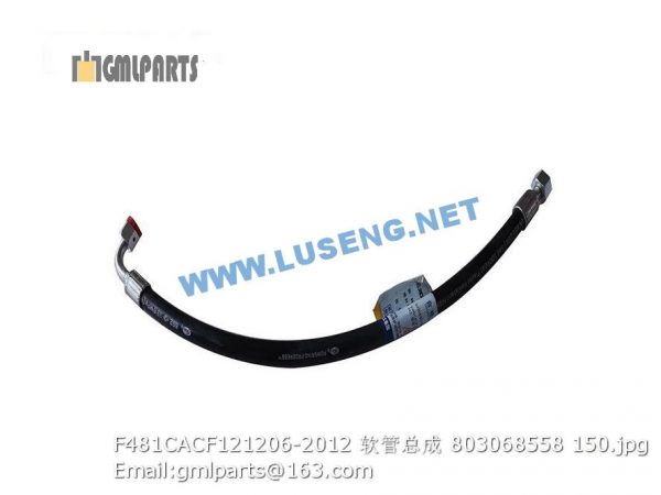 ,803068558 F481CACF121206-2012 HOSE