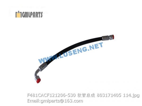 ,803171405 F481CACF121206-530 HOSE