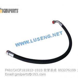 ,803276109 F481CACF181812-1010 HOSE
