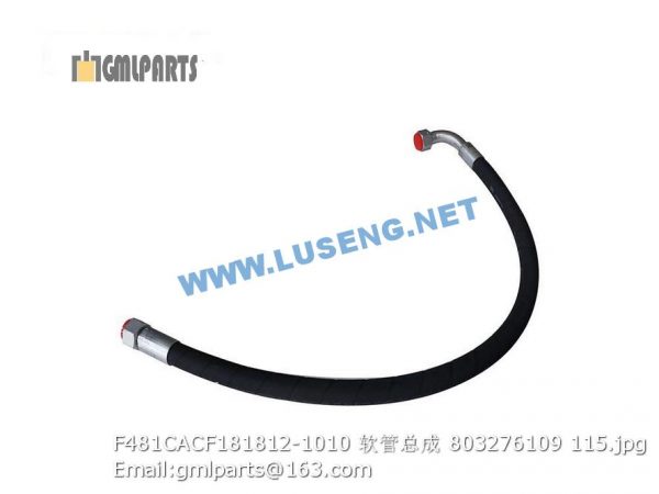 ,803276109 F481CACF181812-1010 HOSE