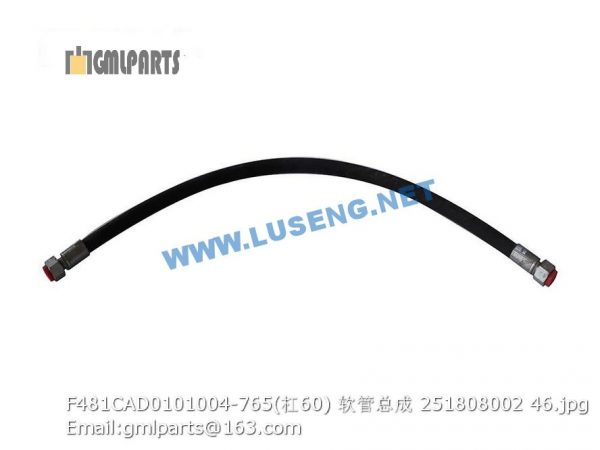 ,251808002 F481CAD0101004-765(/60) HOSE