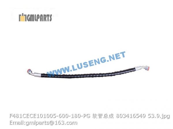 ,803416549 F481CECE101005-600-180-PG HOSE