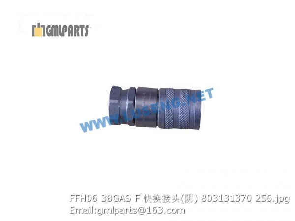 ,803131370 FFH06 38GAS F CONNECTOR FOR QUICK CHANGE