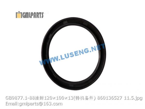 ,860136527 GB9877.1-88 oil seal 120×100×13