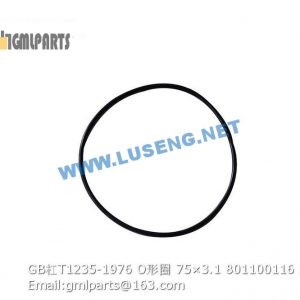 ,801100116 GB/T1235-1976 O-RING 75×3.1