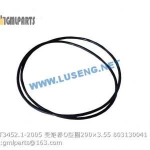 ,803130041 GB/T3452.1-2005 O-RING 290×3.55