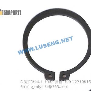 ,227100154 GB/T894.1-1986 Ring Retain 100
