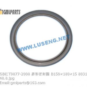 ,803164085 GB/T9877-2008 Oil Seal B150×180×15