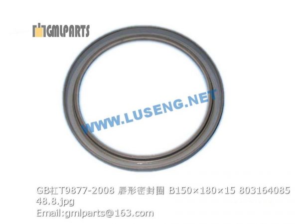 ,803164085 GB/T9877-2008 Oil Seal B150×180×15