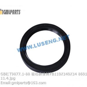 ,860135586 GB/T9877.1-88 OIL SEAL FB110X140X14