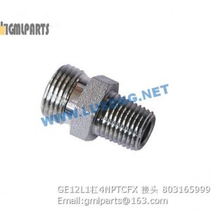 ,803165999 GE12L1/4NPTCFX JOINT