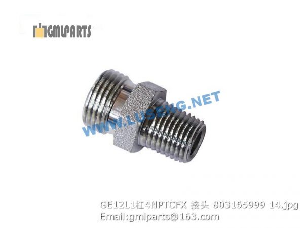 ,803165999 GE12L1/4NPTCFX JOINT