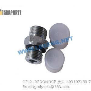 ,803107238 GE12LREDOMDCF JOINT XCMG