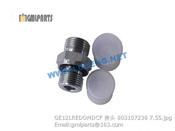,803107238 GE12LREDOMDCF JOINT XCMG