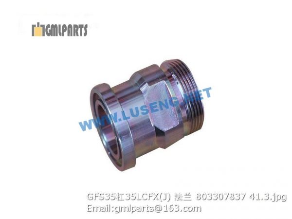 ,803307837 GFS35/35LCFX(J) FLANGE