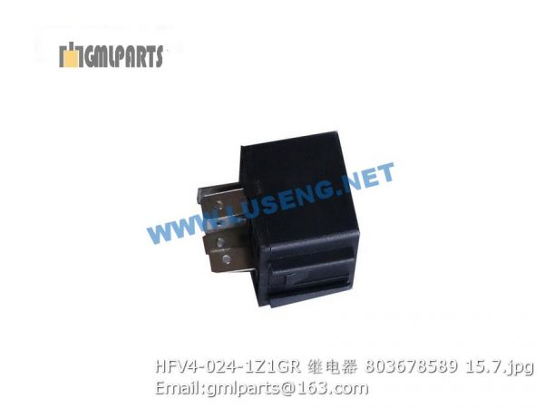 ,803678589 HFV4-024-1Z1GR relay