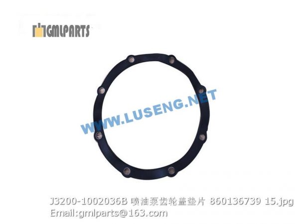 ,860136739 J3200-1002036B gasket for fuel injection pump