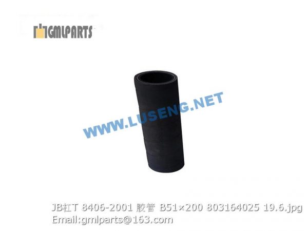 ,803164025 JB/T 8406-2001 HOSE B51×200