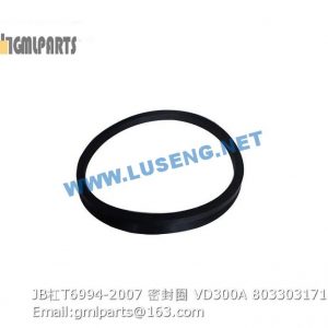 ,803303171 JB/T6994-2007 SEAL RING VD300A