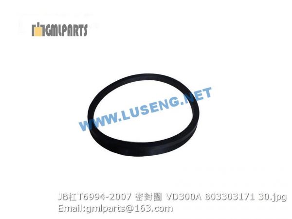 ,803303171 JB/T6994-2007 SEAL RING VD300A