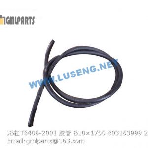 ,803163999 JB/T8406-2001 HOSE B10×1750