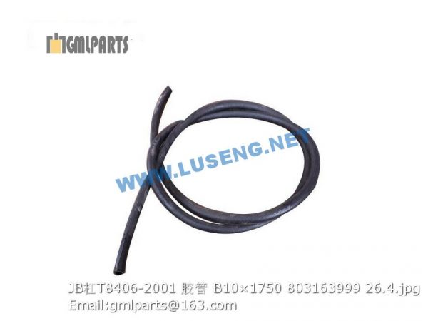 ,803163999 JB/T8406-2001 HOSE B10×1750