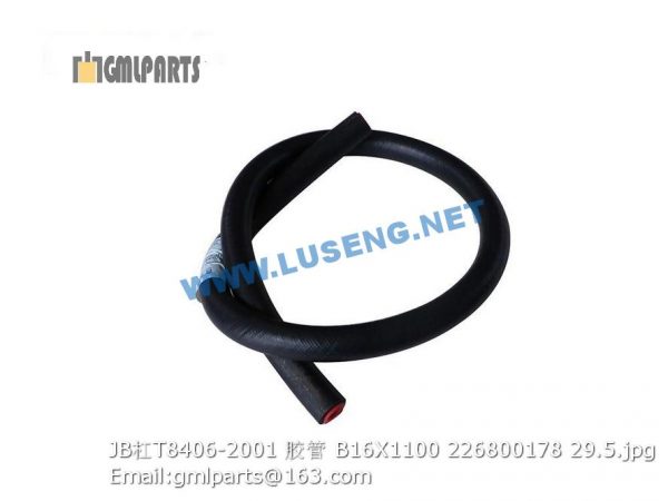 ,226800178 JB/T8406-2001 HOSE B16X1100