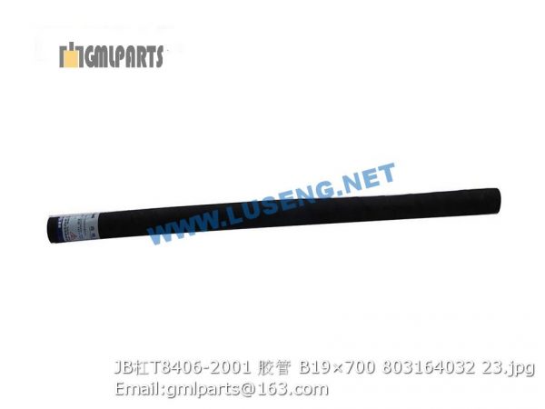 ,803164032 JB/T8406-2001 HOSE B19×700