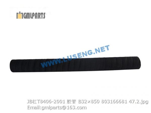 ,803166681 JB/T8406-2001 HOSE B32×850