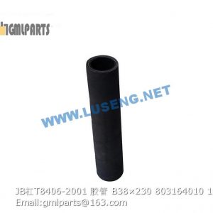 ,803164010 JB/T8406-2001 HOSE B38×230