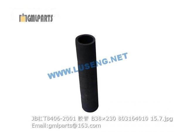 ,803164010 JB/T8406-2001 HOSE B38×230