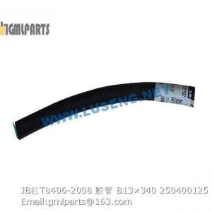 ,250400125 JB/T8406-2008 HOSE B13×340