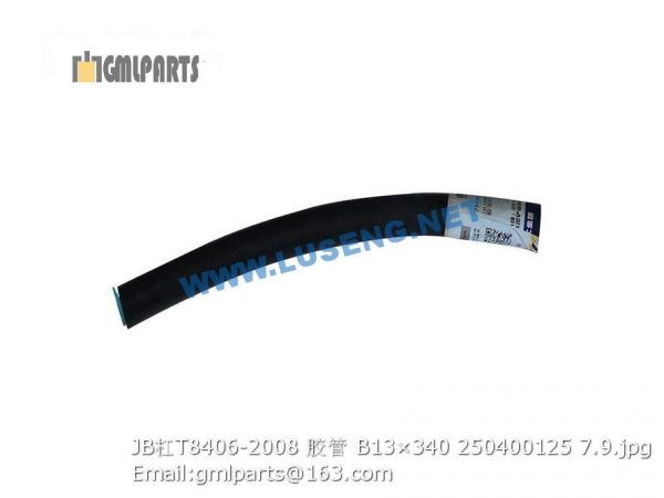 ,250400125 JB/T8406-2008 HOSE B13×340