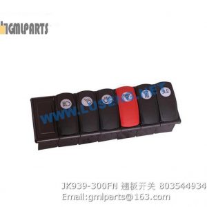 ,803544934 JK939-300FN switch lw300fn
