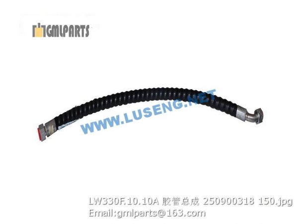 ,250900318 LW330F.10.10A HOSE XCMG