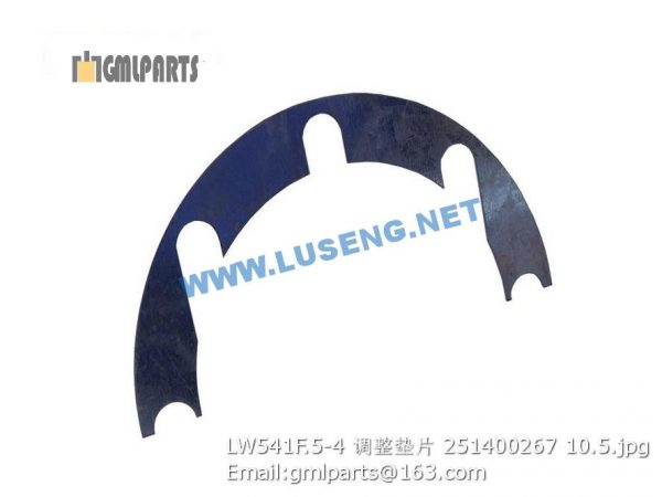 ,251400267 LW541F.5-4 Adjusting washer