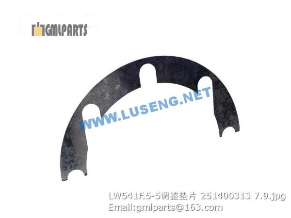 ,251400313 LW541F.5-5 ADJUSTING SHIM