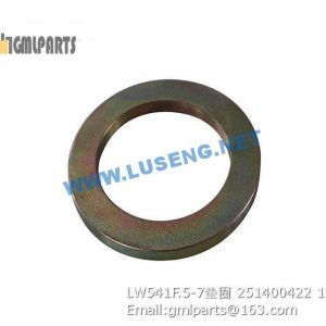 ,251400422 LW541F.5-7 WASHER