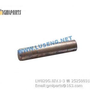 ,252500317 LW820G.8IV.1-3 PIN