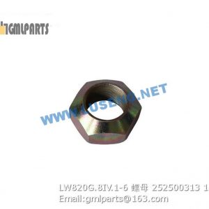 ,252500313 LW820G.8IV.1-6 NUT