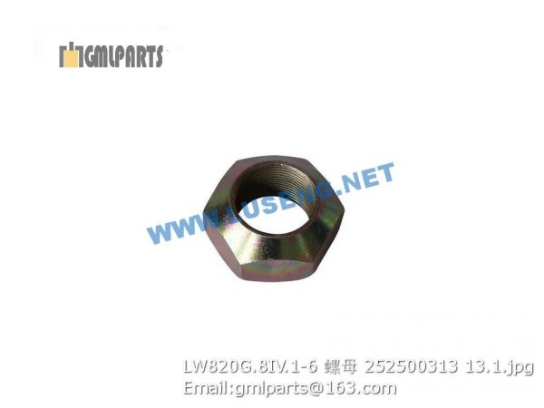 ,252500313 LW820G.8IV.1-6 NUT