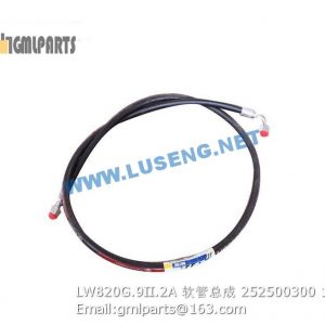 ,252500300 LW820G.9II.2A HOSE XCMG