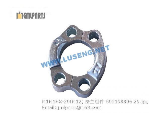 ,803198806 M1M1HK-20(M12) flange