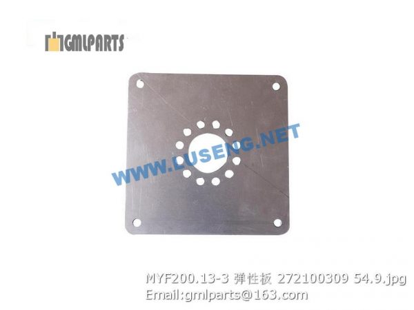 ,272100309 MYF200.13-3 Plate-flex