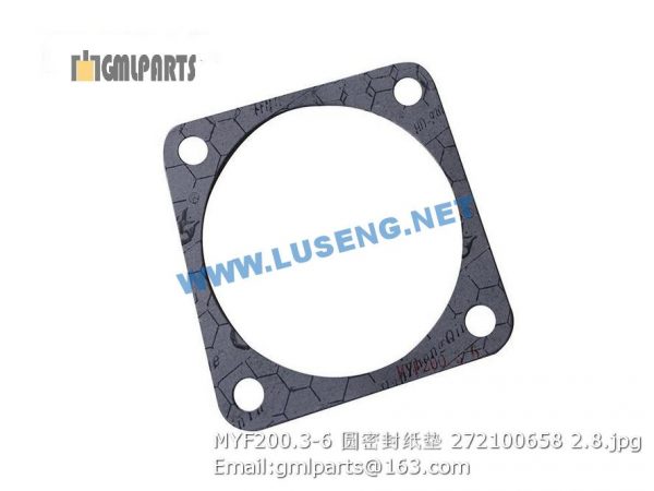 ,272100658 MYF200.3-6 Gasket