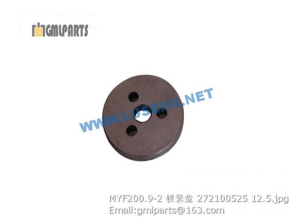 ,272100525 MYF200.9-2 Lock Plate