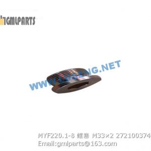 ,272100374 MYF220.1-8 PLUG M33×2