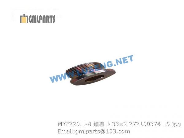 ,272100374 MYF220.1-8 PLUG M33×2